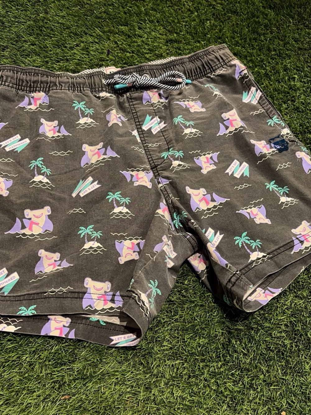 Men's Black Tropical Frog Print Swim Trunks